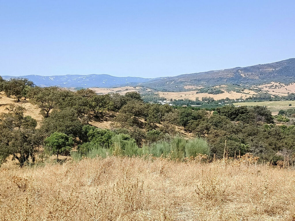 Farm Gaucín Málaga - image 14