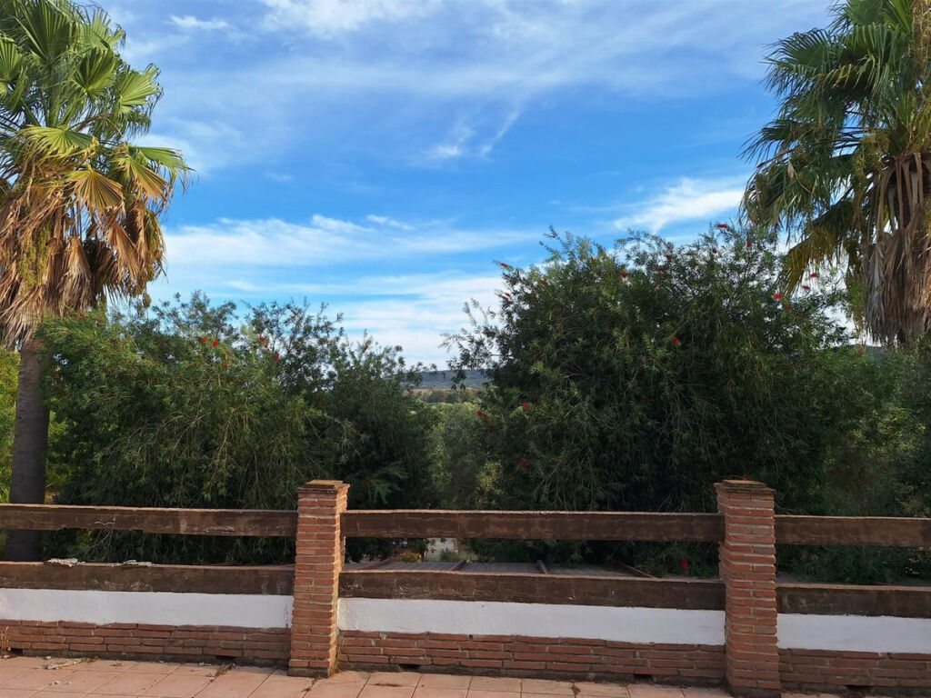 Finca - Cortijo San Martín de Tesorillo Cádiz - image 18