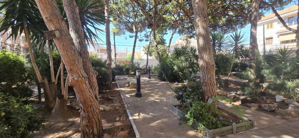 Ground Floor Apartment San Pedro del Pinatar Murcia - image 19