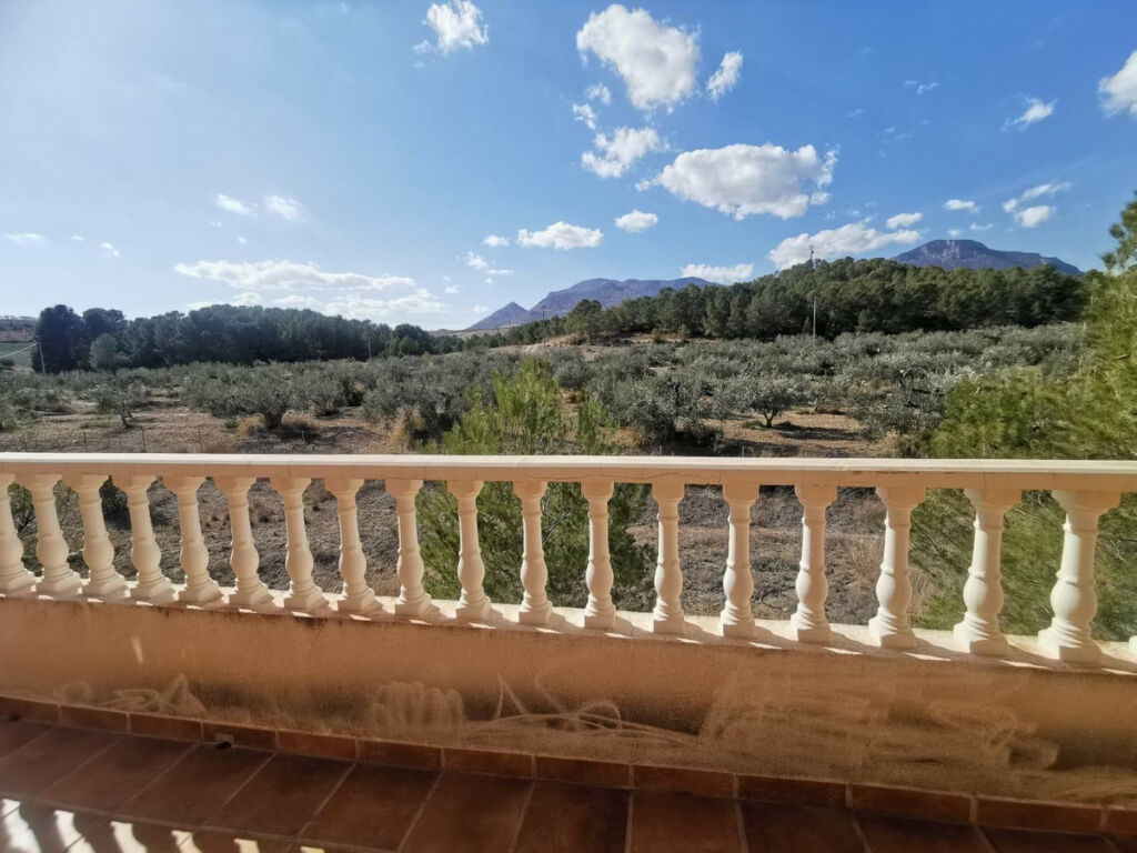 Detached Villa Lorca Murcia - image 19