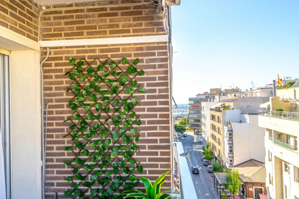 Middle Floor Apartment Torrevieja Alicante - image 19