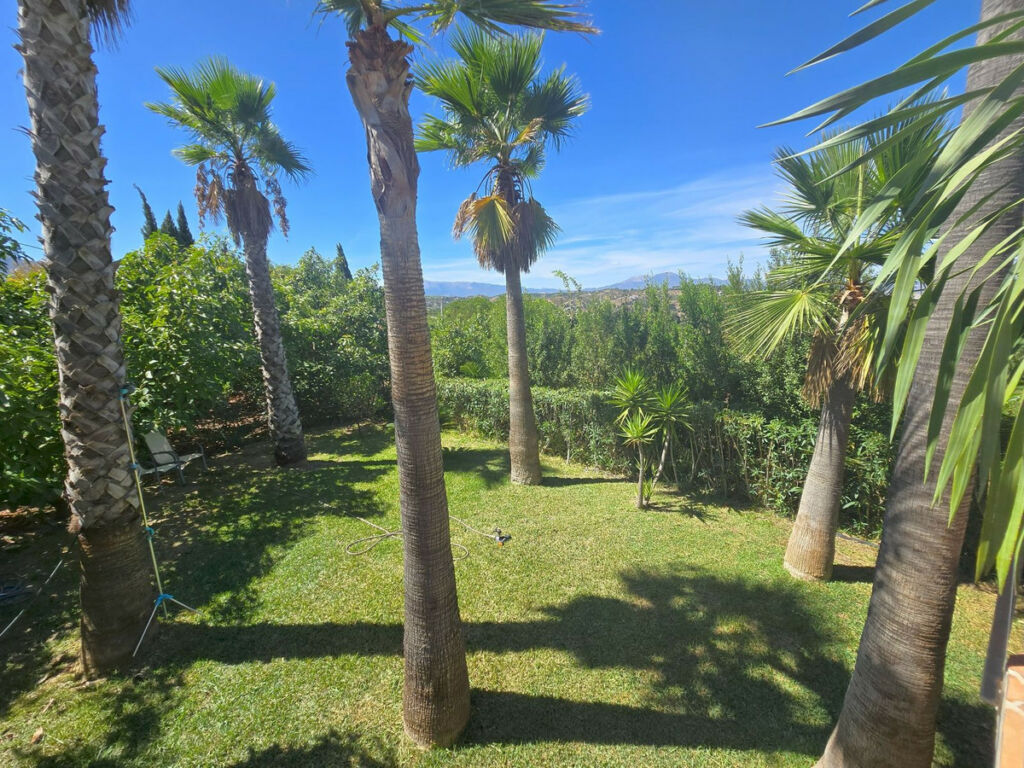 Finca - Cortijo Alhaurín el Grande Málaga - image 19