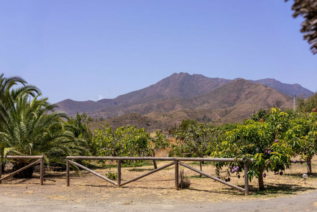 Detached Villa Mijas Málaga - image 19