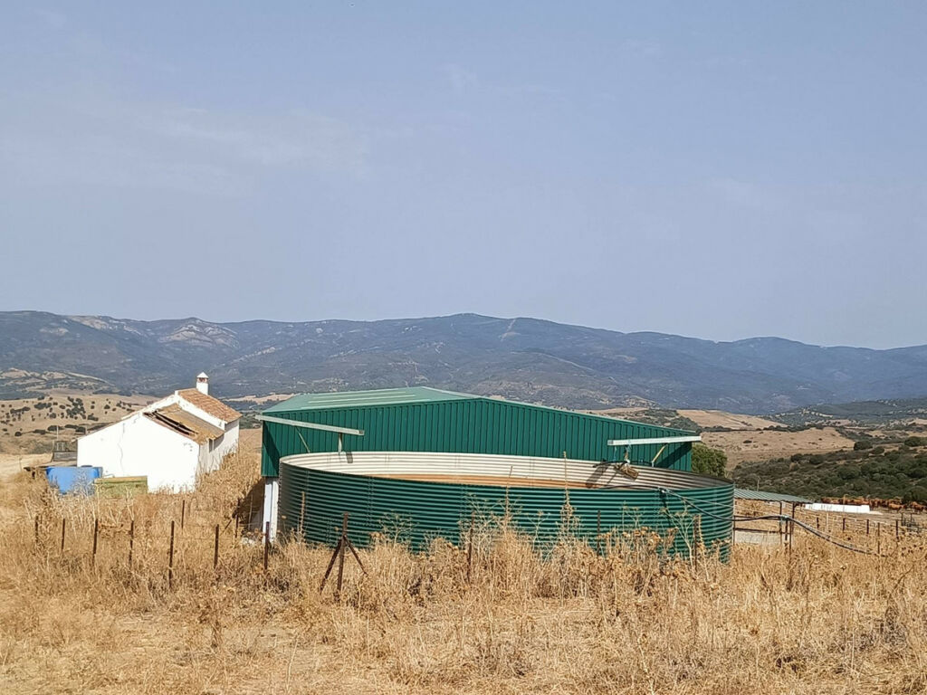 Farm Gaucín Málaga - image 19