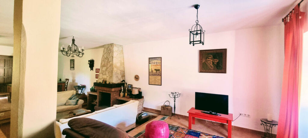Detached Villa Cortes de la Frontera Málaga - image 19