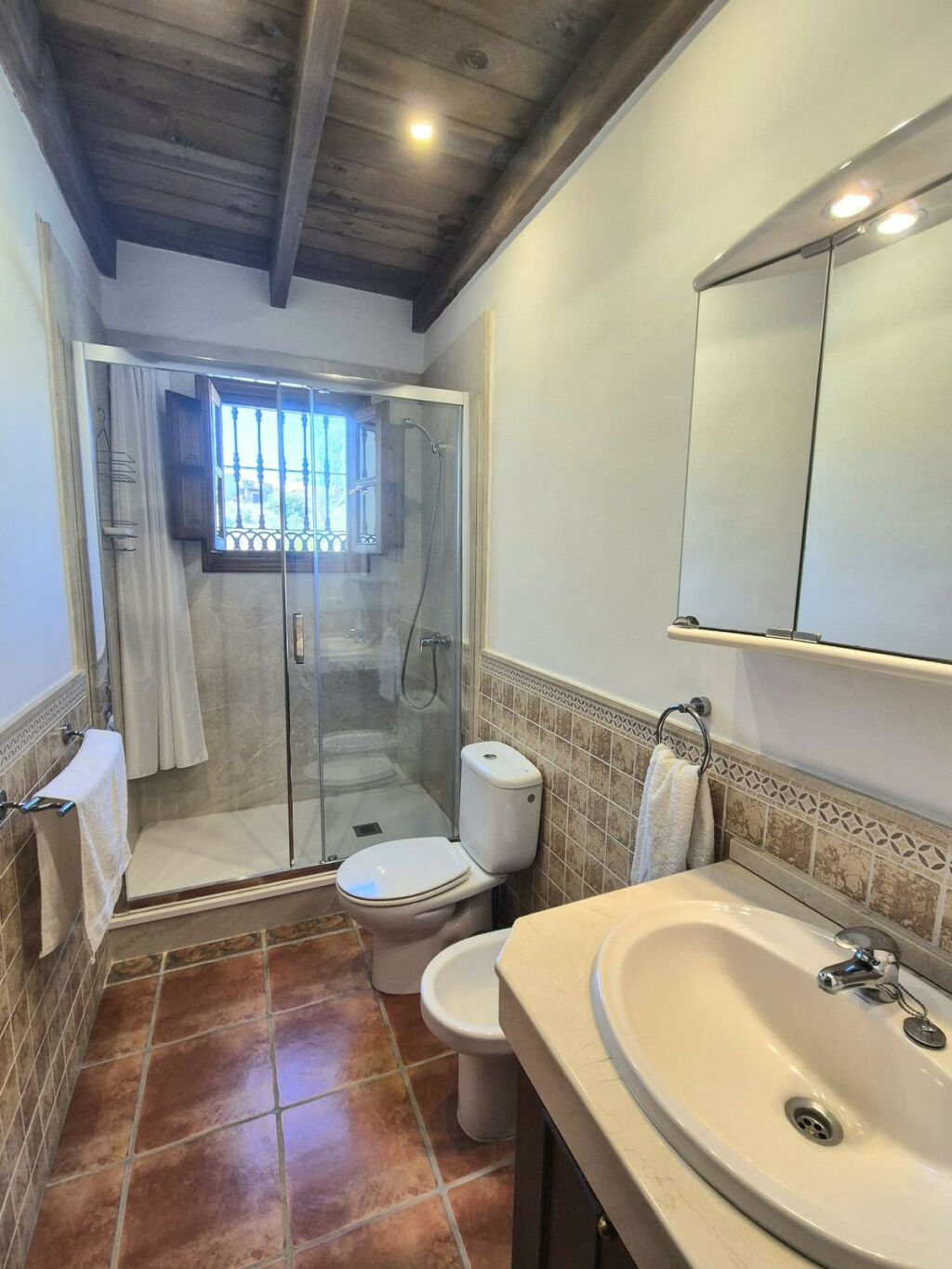 Detached Villa Coín Málaga - image 18