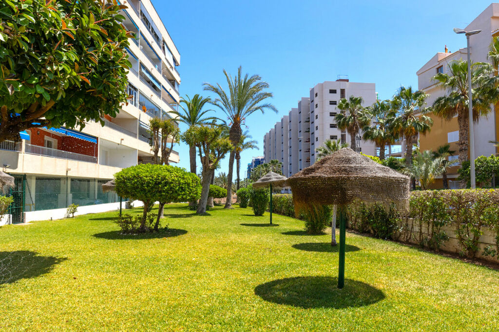 Middle Floor Apartment Rocio del Mar Alicante - image 19