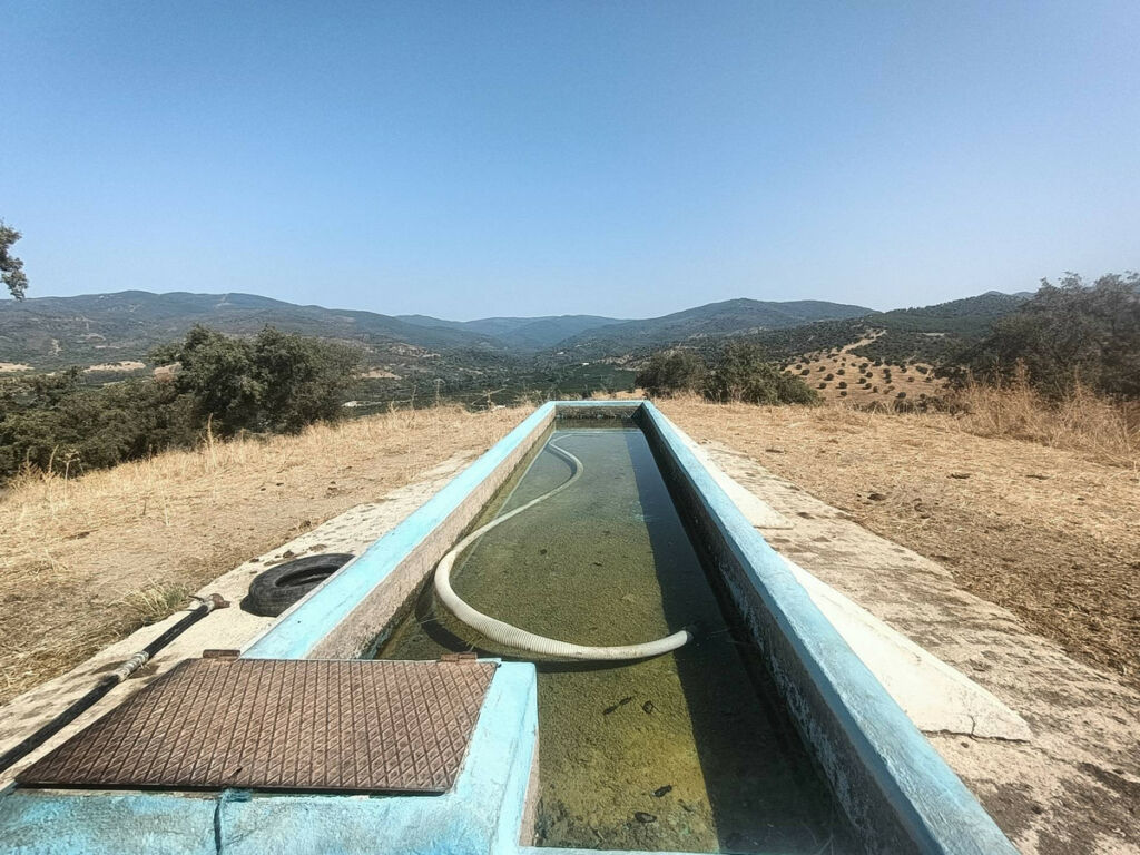 Farm Gaucín Málaga - image 15