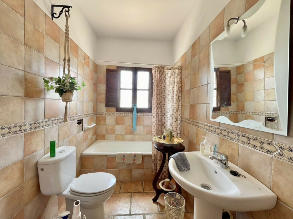 Detached Villa Periana Málaga - image 19