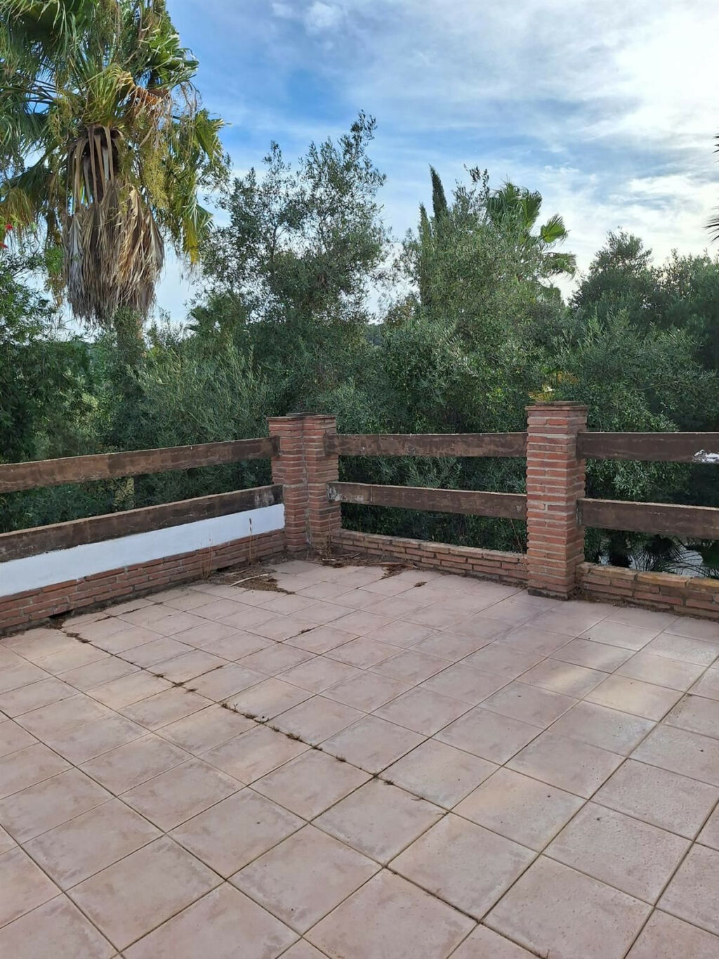 Finca - Cortijo San Martín de Tesorillo Cádiz - image 19