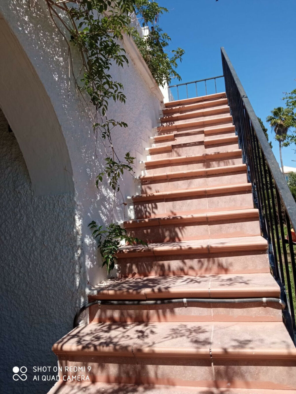 Detached Villa Río Real Málaga - image 2