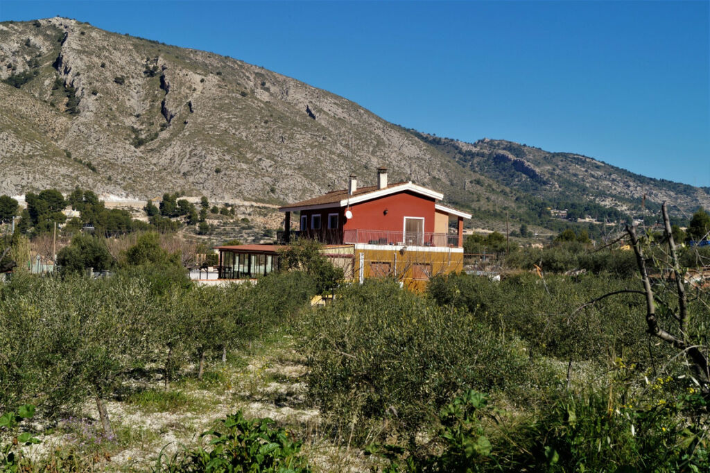 Detached Villa Petrer Alicante - image 7