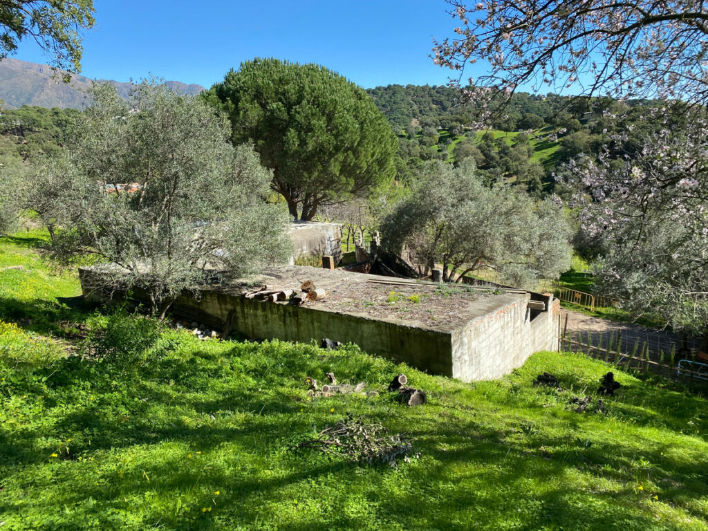 Land Casares Málaga - image 2