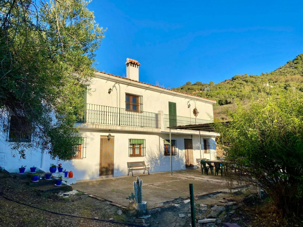 Finca - Cortijo Gaucín Málaga - image 2