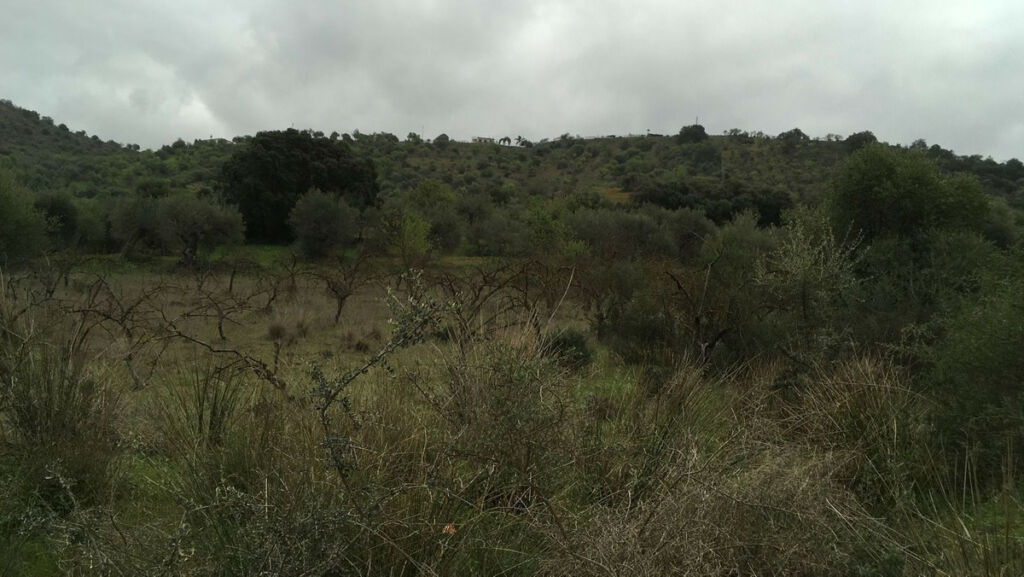 Land Coín Málaga - image 2