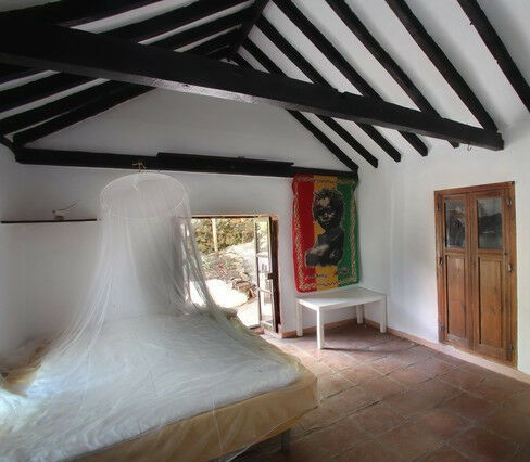 Finca - Cortijo Casares Málaga - image 2