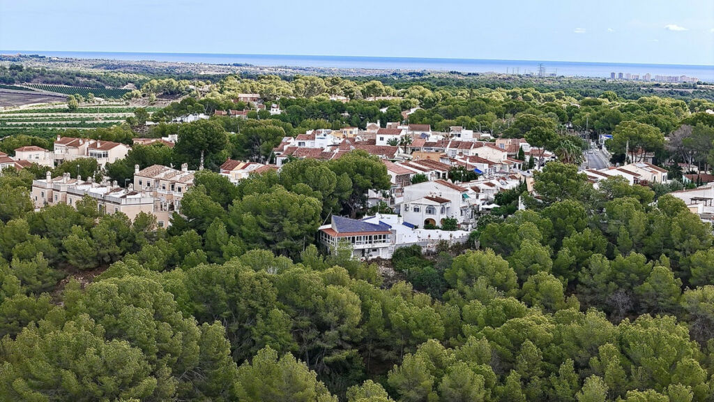 Detached Villa Pinar de Campoverde Alicante - image 2