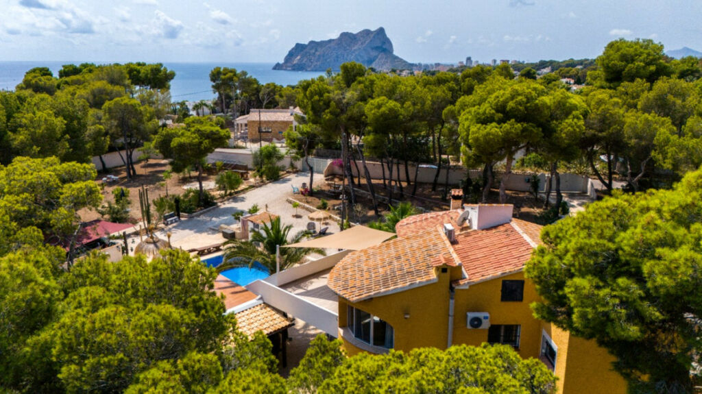 Detached Villa La Fustera Alicante - image 2