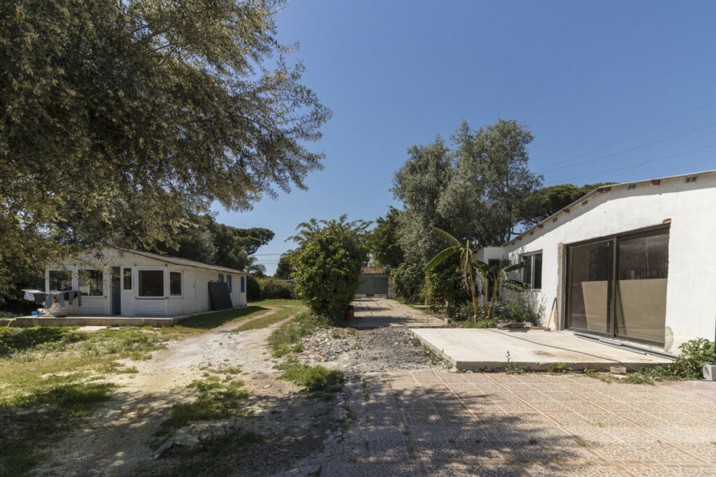 Detached Villa Marbella Málaga - image 2