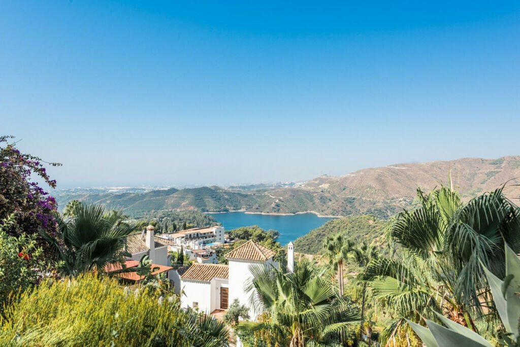 Detached Villa Istán Málaga - image 3