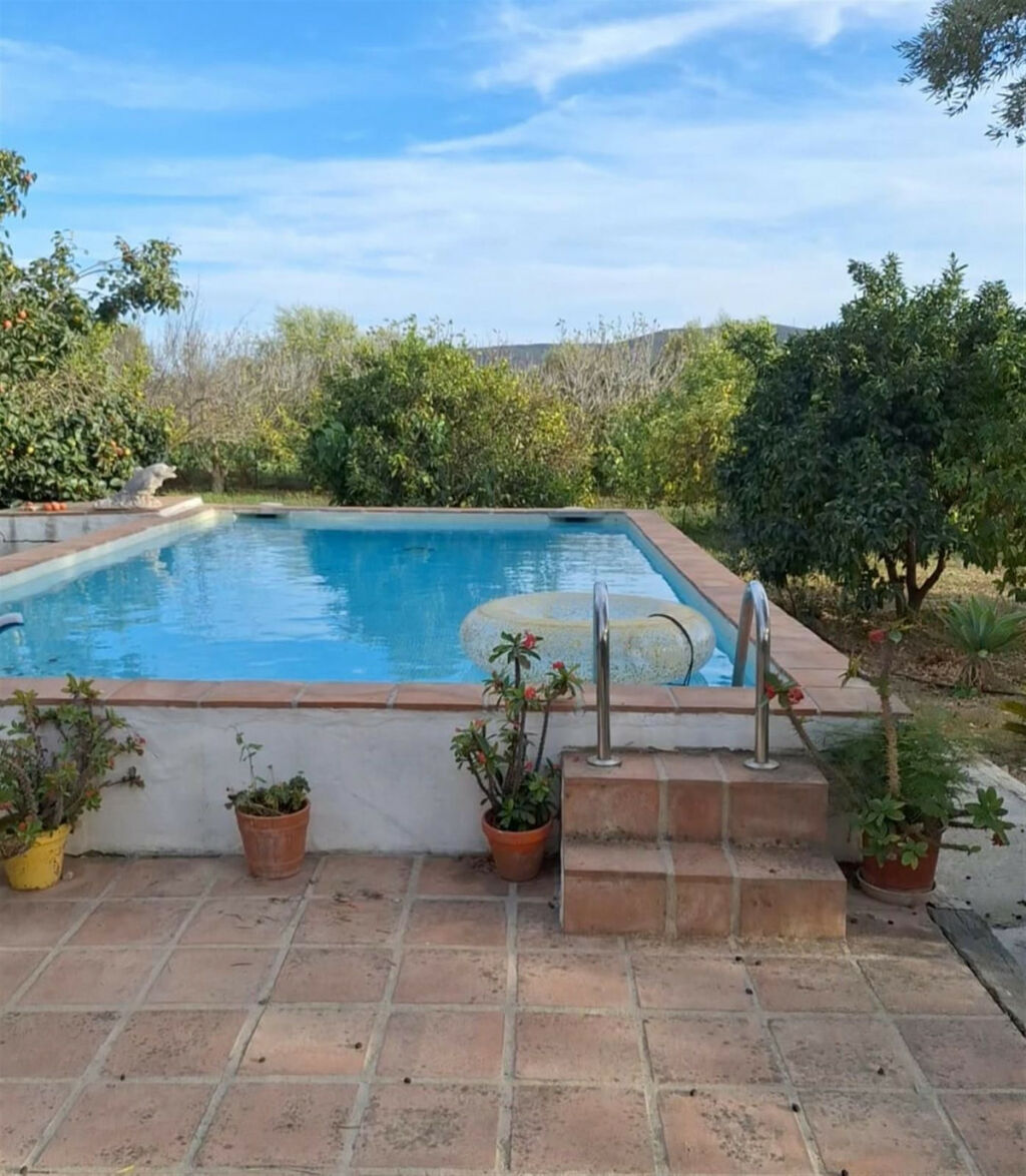 Finca - Cortijo San Martín de Tesorillo Cádiz - image 2