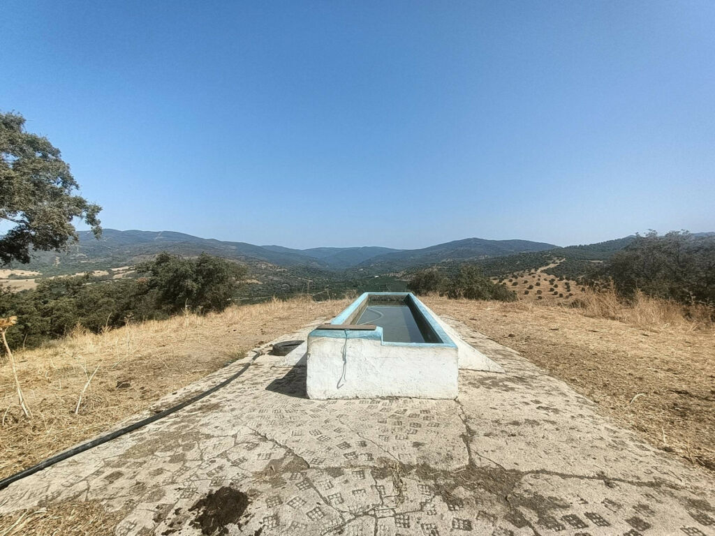 Farm Gaucín Málaga - image 16