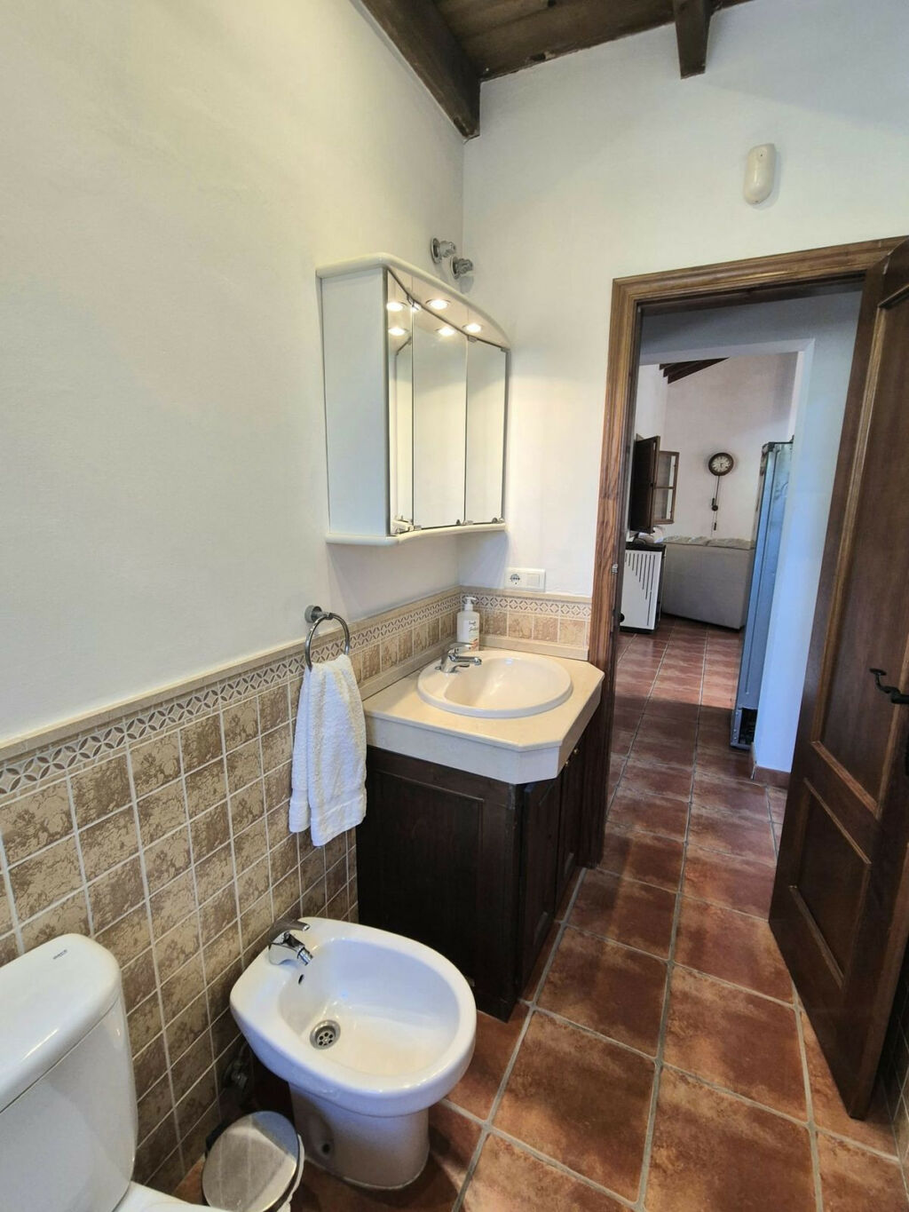 Detached Villa Coín Málaga - image 19