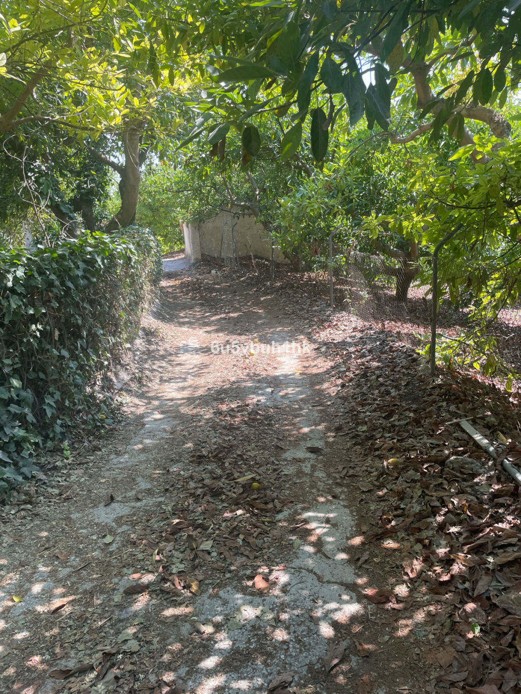 Finca - Cortijo Coín Málaga - image 20