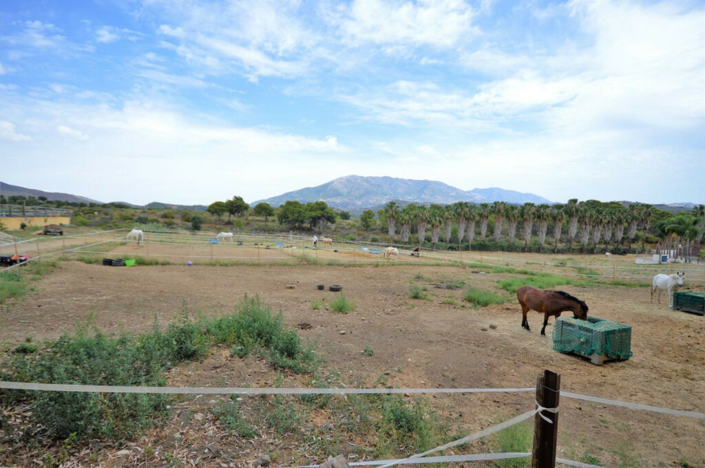 Finca - Cortijo Mijas Málaga - image 20