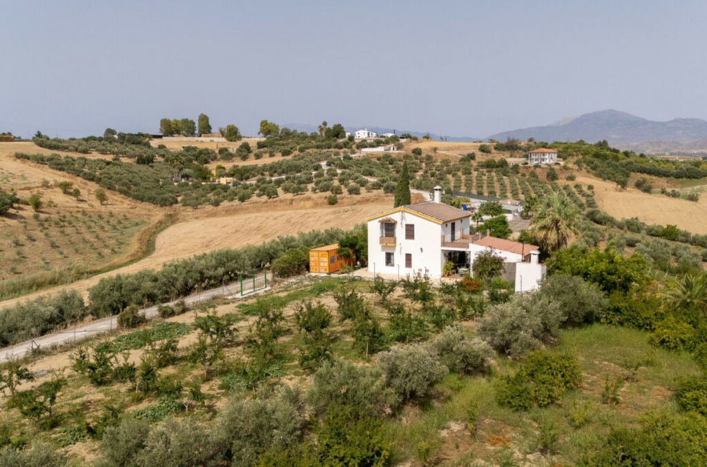 Detached Villa Cártama Málaga - image 20