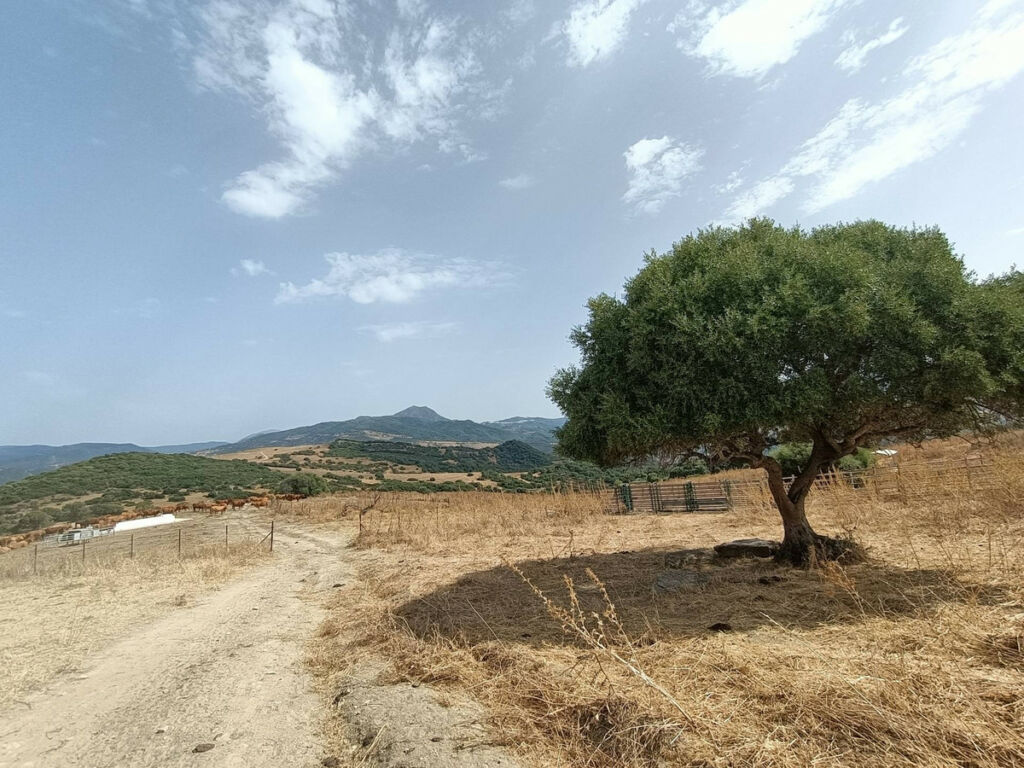Farm Gaucín Málaga - image 20