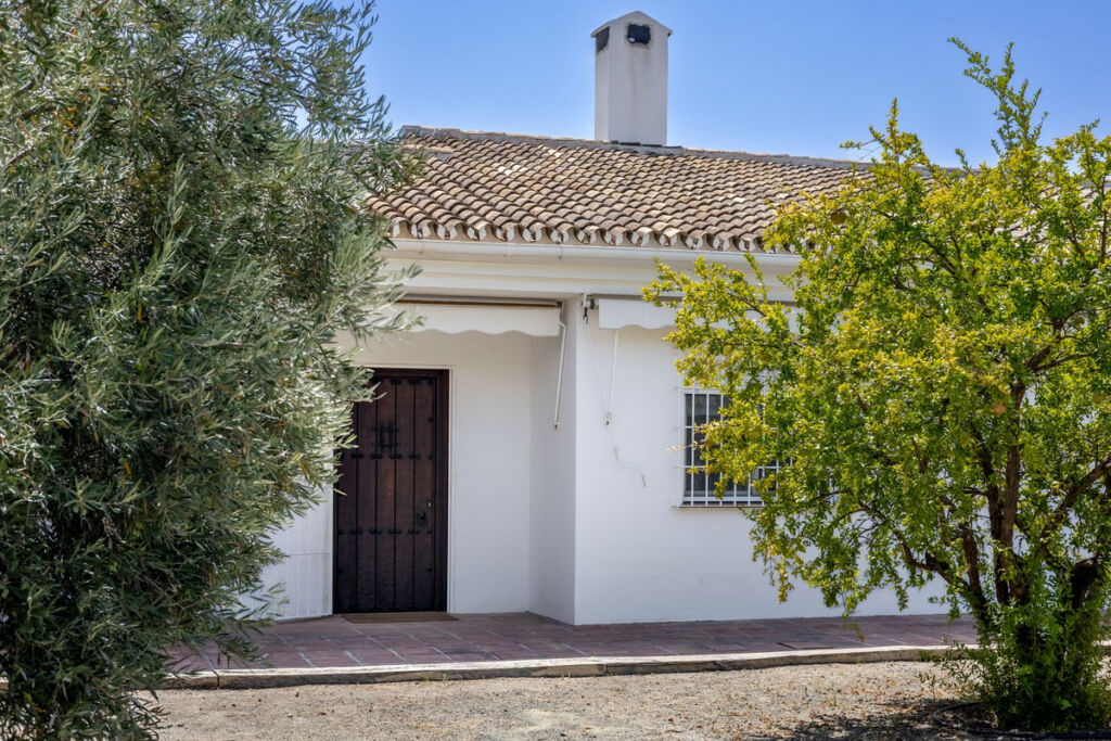 Detached Villa Mijas Málaga - image 20