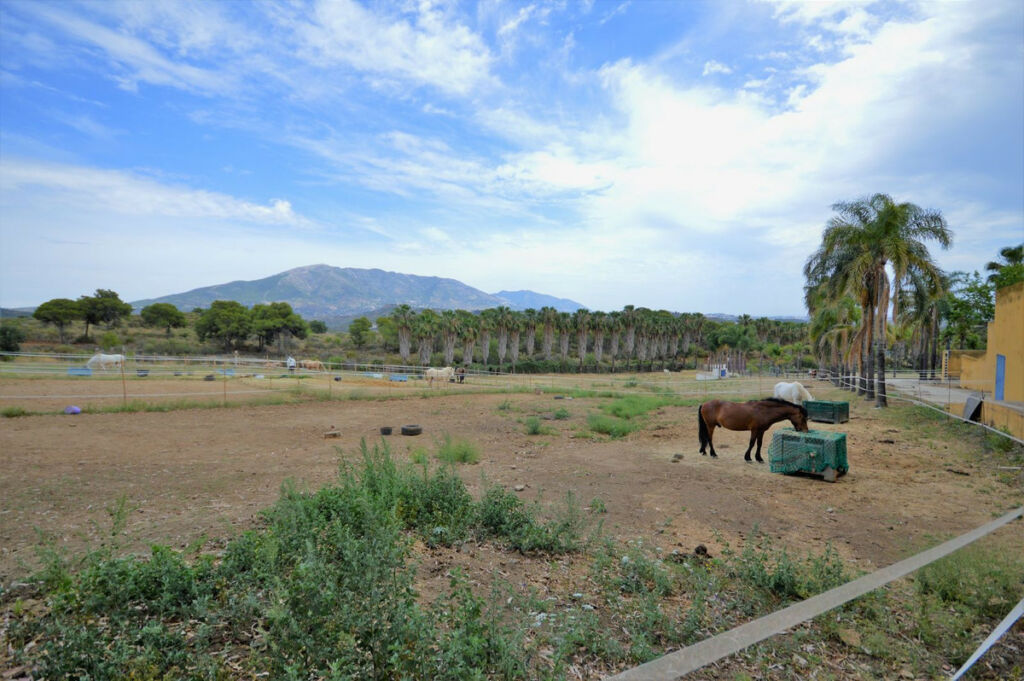Finca - Cortijo Mijas Málaga - image 21