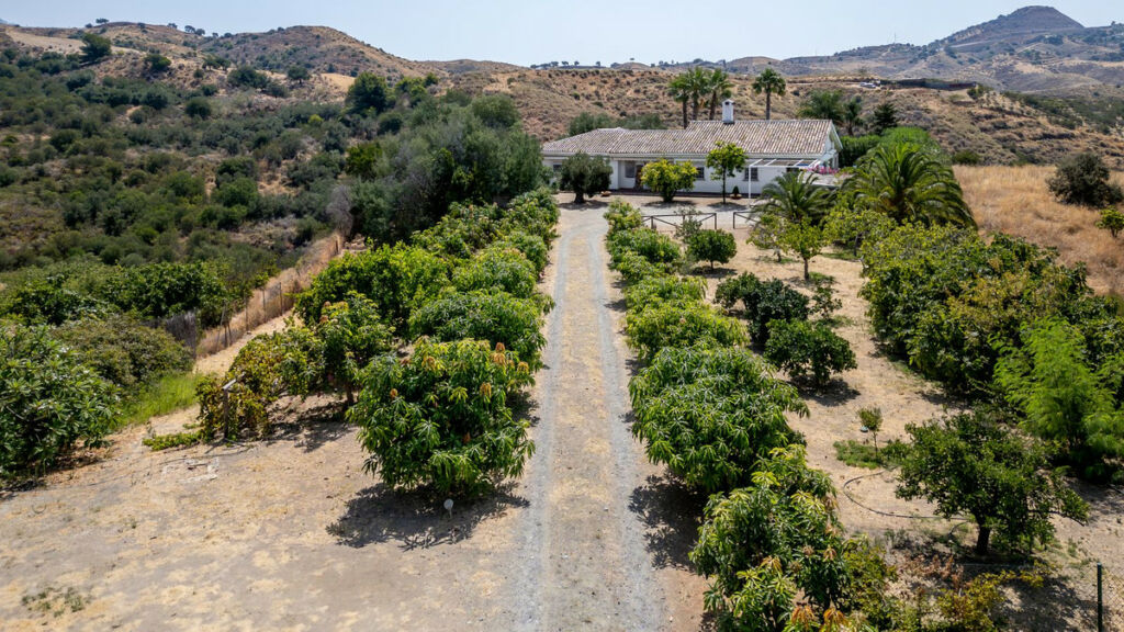Detached Villa Mijas Málaga - image 21