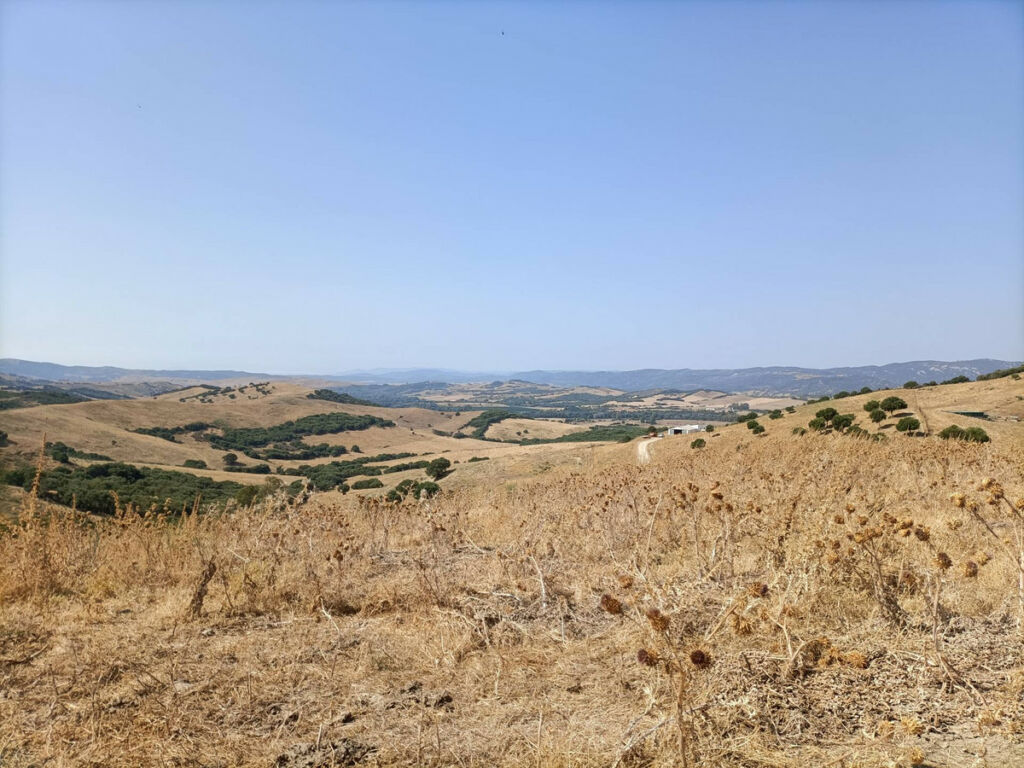 Farm Gaucín Málaga - image 17