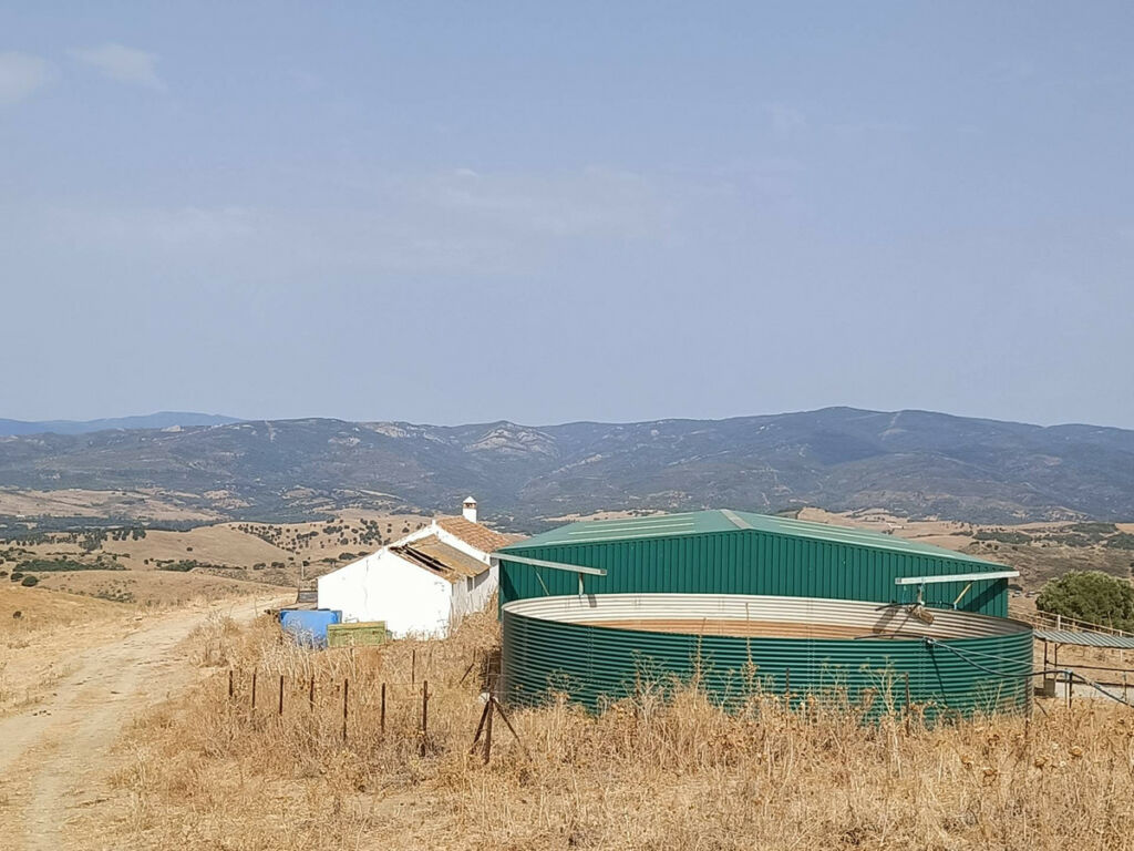 Farm Gaucín Málaga - image 21