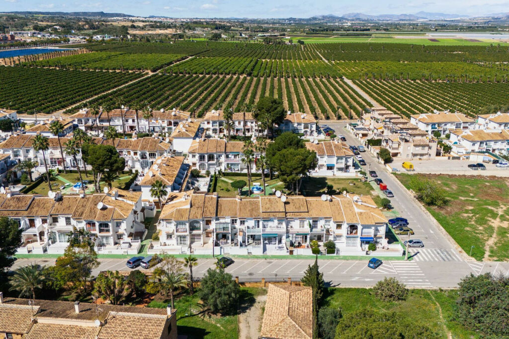 Semi-Detached House Lago Jardin Alicante - image 21