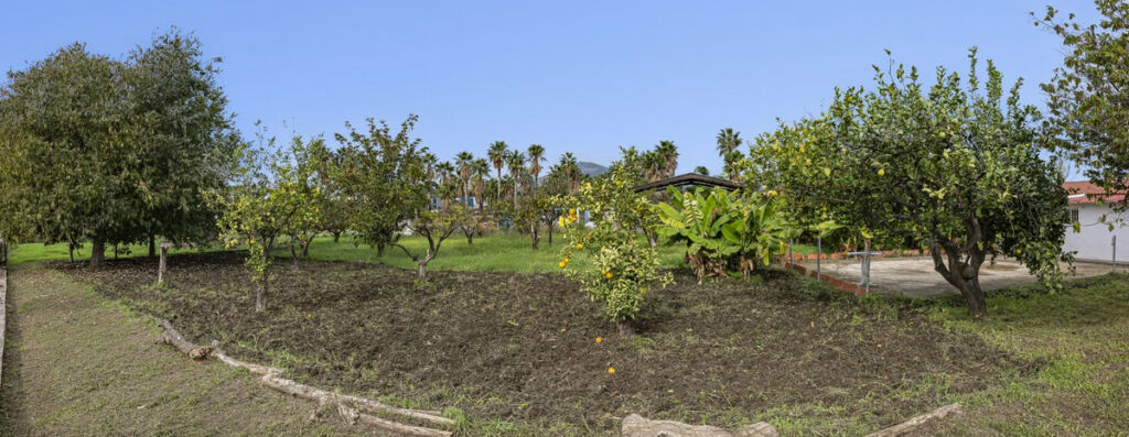 Land San Pedro de Alcántara Málaga - image 21