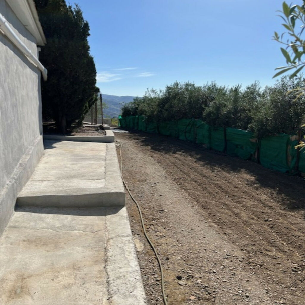 Finca - Cortijo Viñuela Málaga - image 22