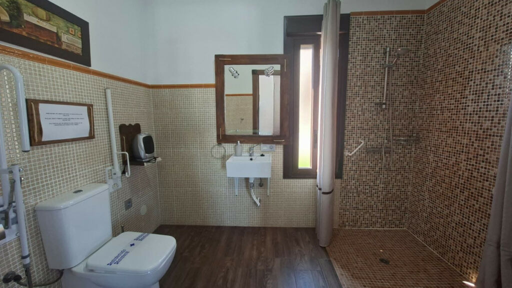 Detached Villa Arriate Málaga - image 22