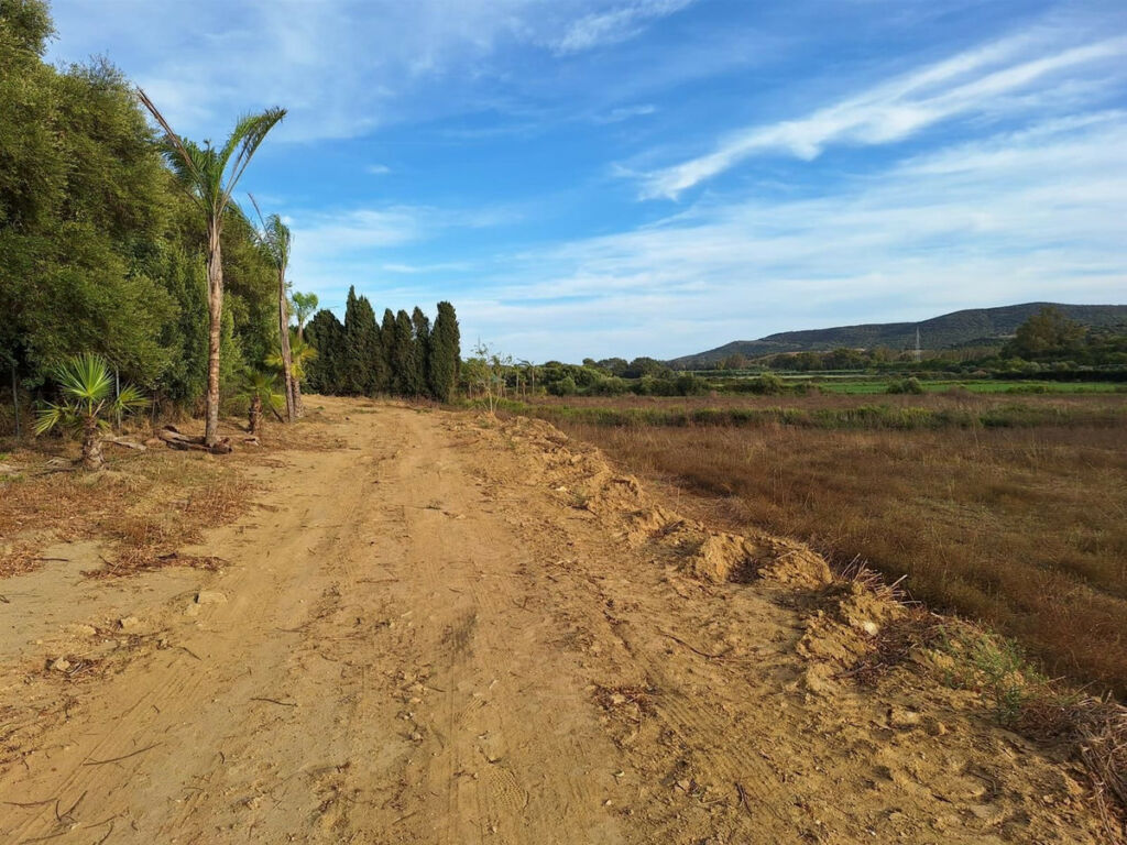 Finca - Cortijo San Martín de Tesorillo Cádiz - image 22