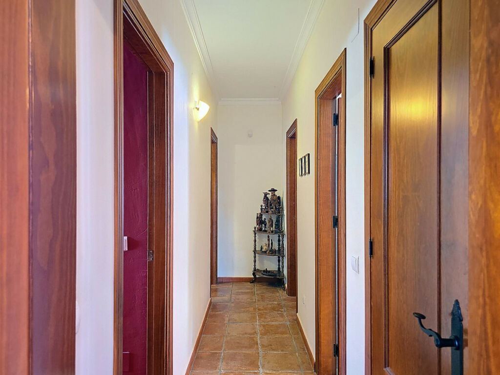 Detached Villa Almogía Málaga - image 23