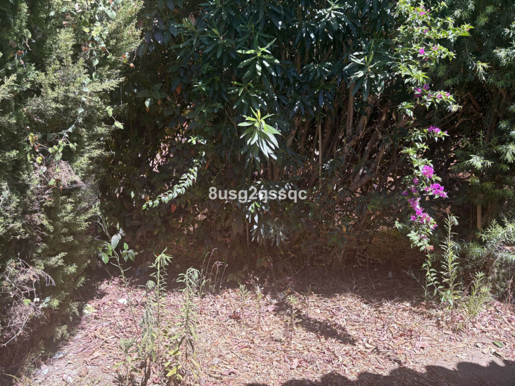 Semi-Detached House Bel Air Málaga - image 22