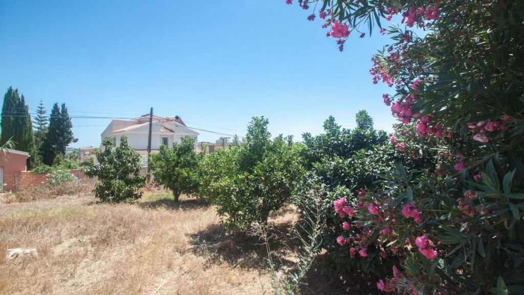 Detached Villa Estepona Málaga - image 22