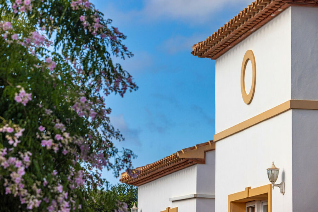 Detached Villa Javea Alicante - image 22