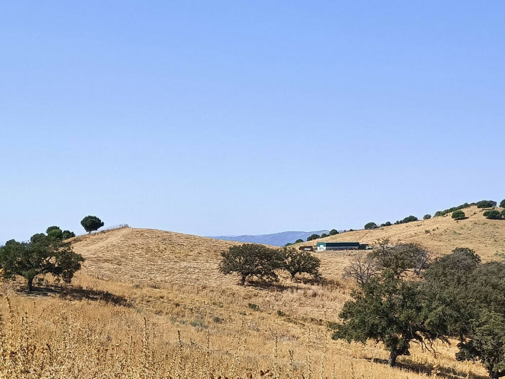 Farm Gaucín Málaga - image 18