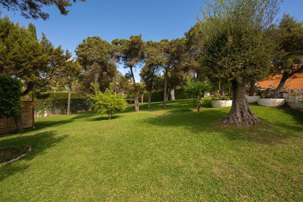 Detached Villa Marbesa Málaga - image 22