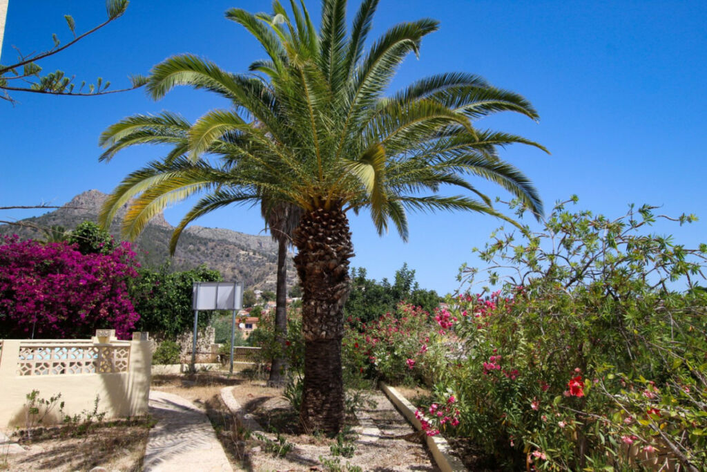 Detached Villa Calpe Alicante - image 22