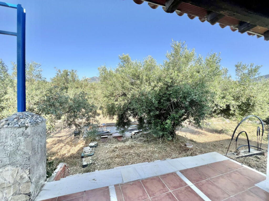 Finca - Cortijo Casarabonela Málaga - image 22