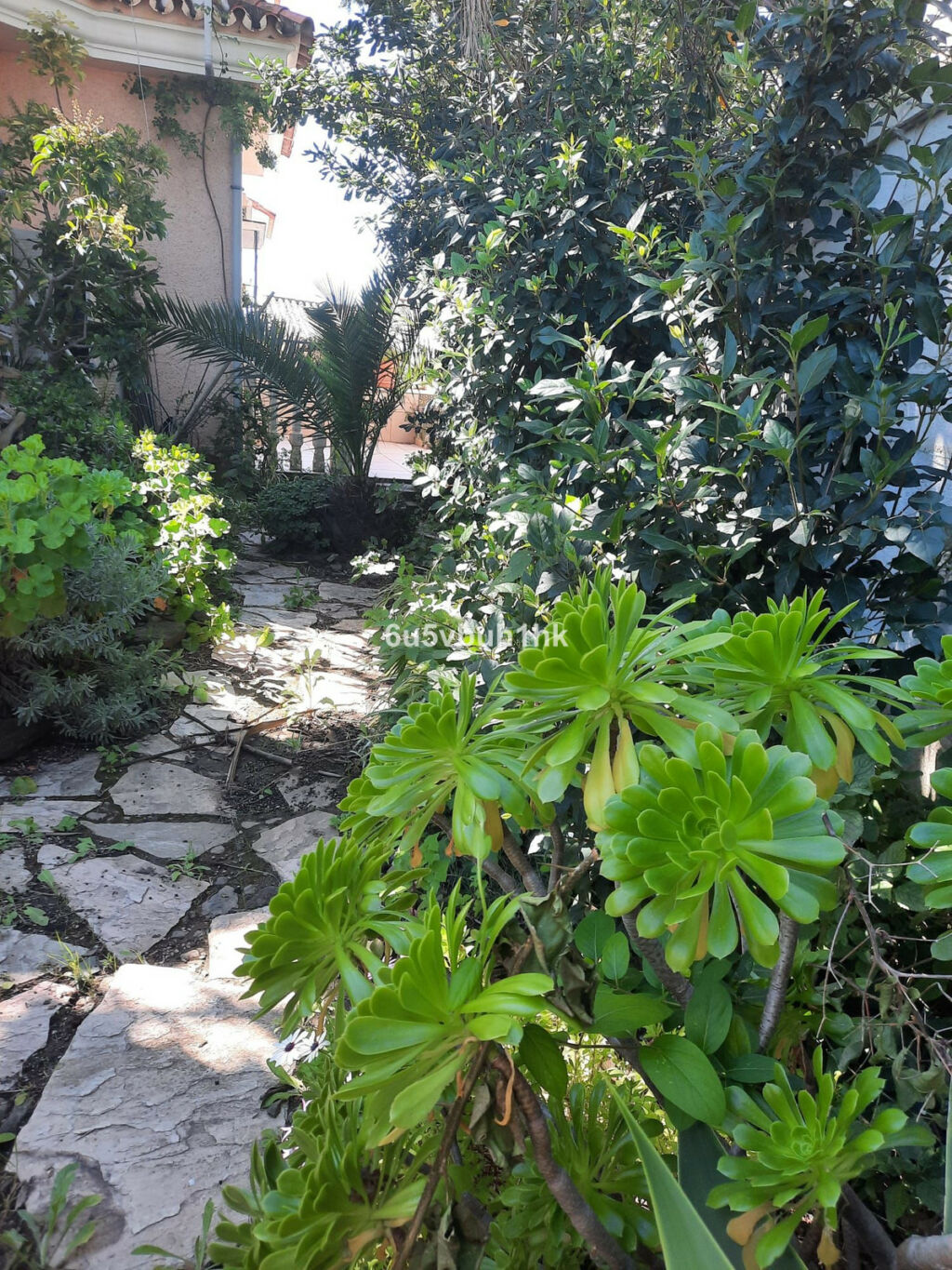 Detached Villa Fuengirola Málaga - image 22